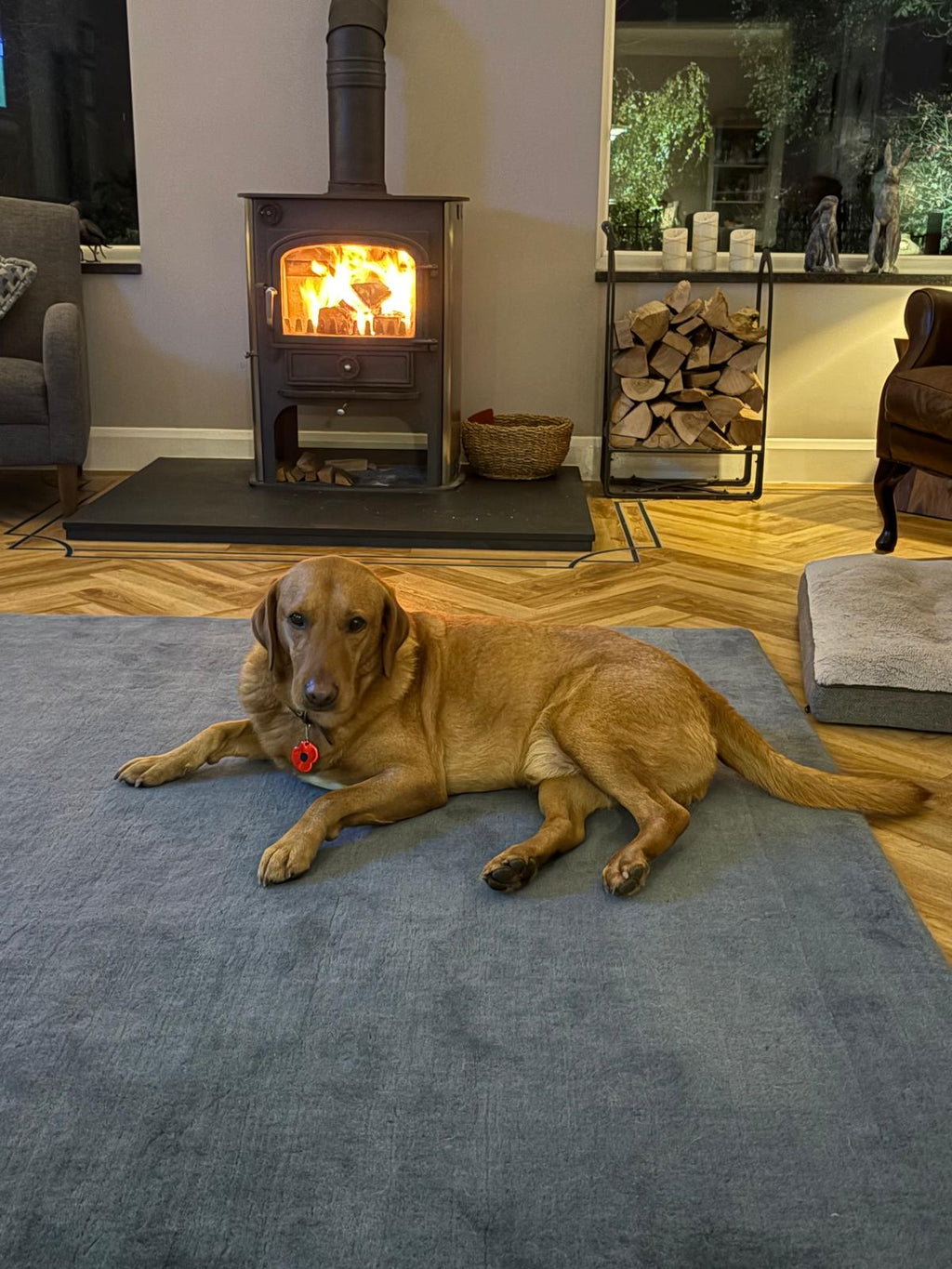 Kiln Dried Birch Logs (Standard Crate) + Free Kindling